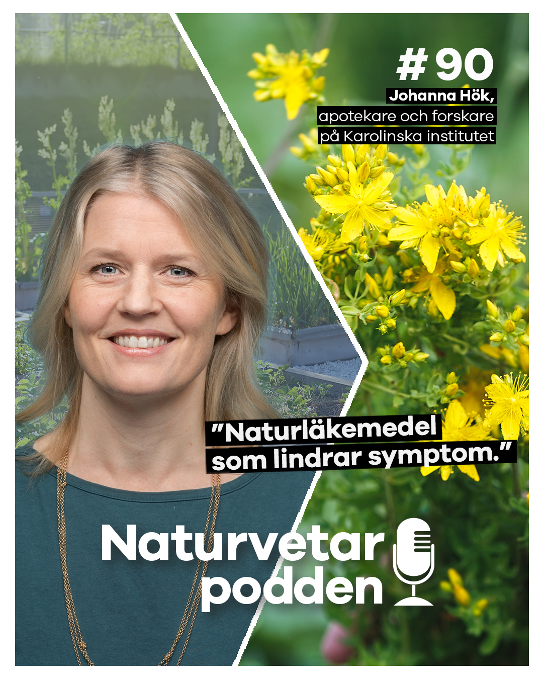 Johanna Hök Nordberg