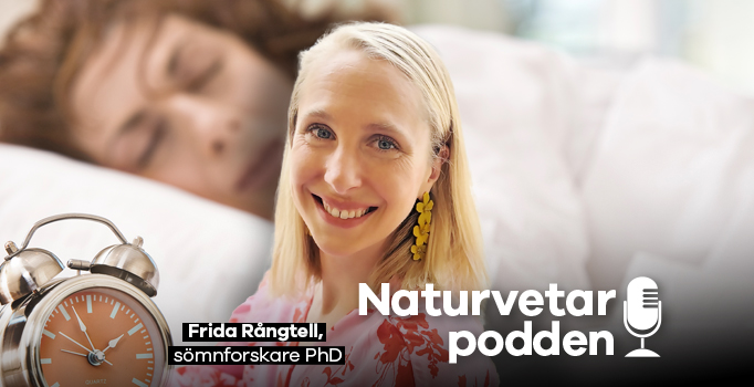 Frida Rångtell