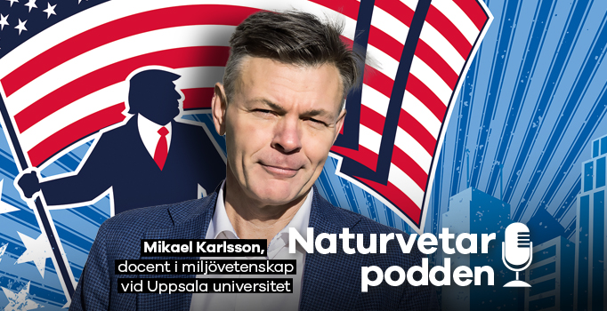 Mikael Karlsson