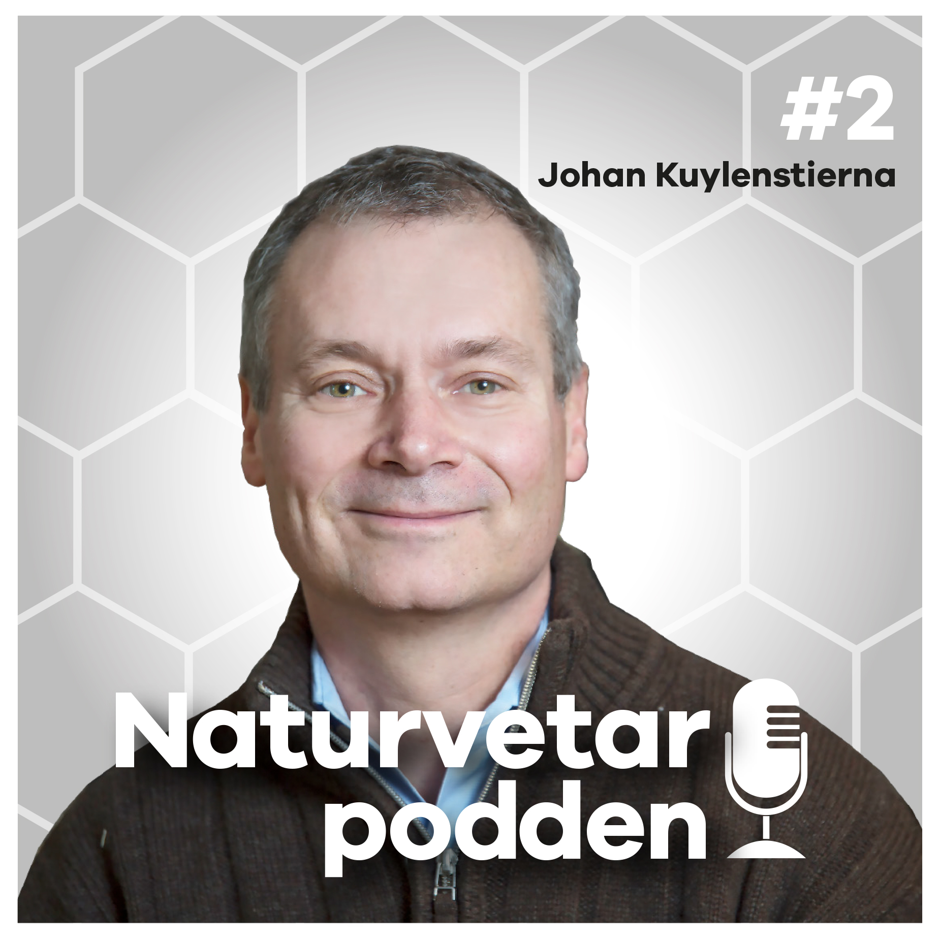 Johan Kuylenstierna