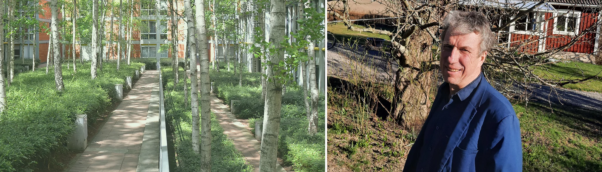 Bildcollage med två bilder. Till vänster bostadsområde med mycket gröna buskar och träd. Till höger en bild på Per Skyllberg som står i blå jacka framför ett träd och ett rött hus.