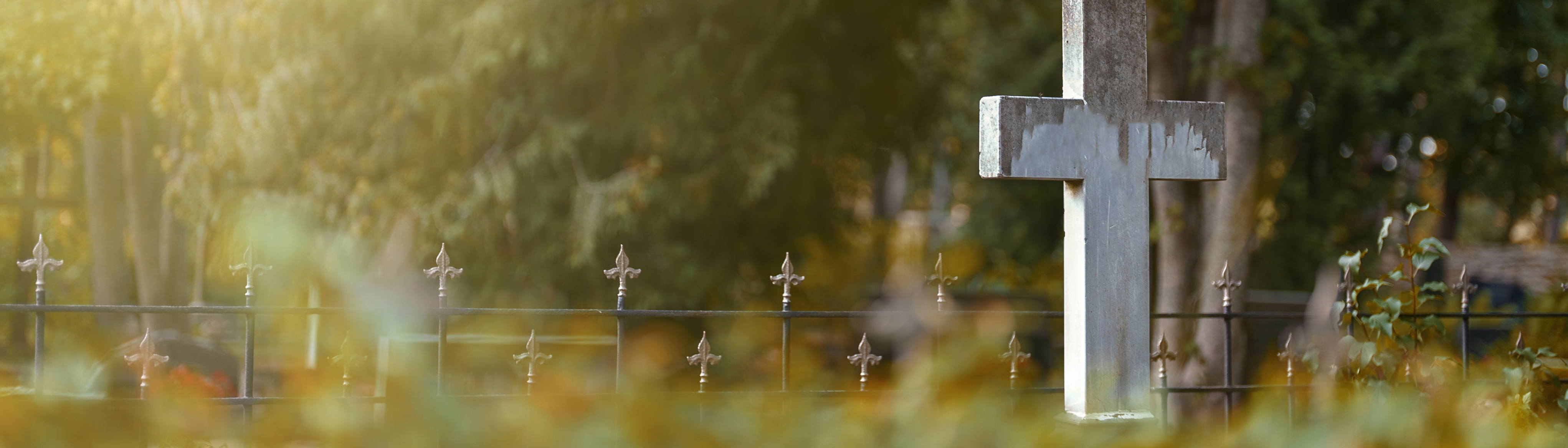 Skymt av en kyrkogård. Grön natur och ett vitt kors samt ett staket.