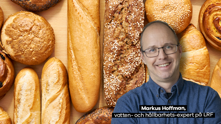 Markus Hoffman, vatten- och hållbarhetsexpert på LRF.